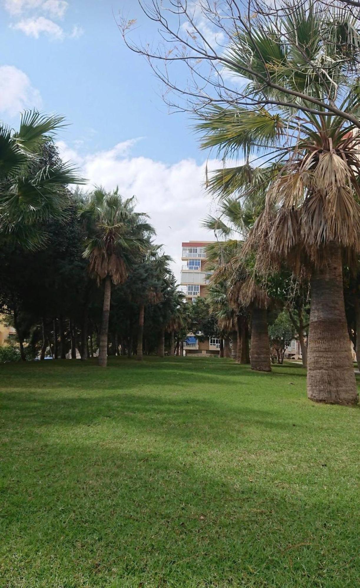 Hercules Paradise 531 Apartamento Con Vistas Al Mar Mediterraneo En Benalmadena A Pasos Del Centro Y Su Vibrante Zona Comercial Disfruta De Una Experiencia Unica En La Costa Del Sol Malaga Andalucia Well-Connected To The Airport Exterior photo